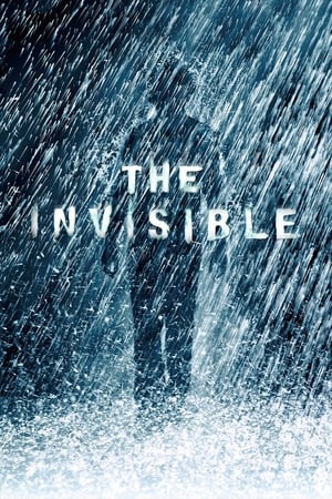 The Invisible 2007 Hindi Dual Audio 480p BRRip 300MB - Movierulz