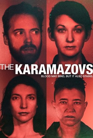 The Karamazovs (2024) WEBRIP Hindi (MULTI AUDIO) 720p – 480p – 1080p
