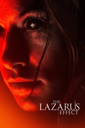 The Lazarus Effect (2015) Hindi Dual Audio 480p BluRay 300MB - Movierulz