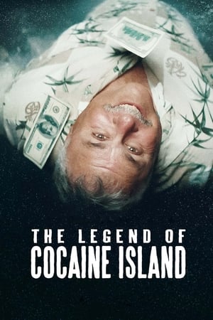 The Legend of Cocaine Island (2019) Hindi Dubbed 720p Web-DL [860MB] - Movierulz