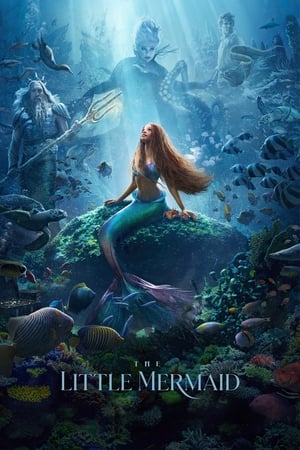 The Little Mermaid (2023) Hindi (ORG 5.1) HDRip | 720p | 480p - Movierulz