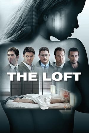 The Loft 2014 Hindi Dubbed 480p HDRip 340MB - Movierulz