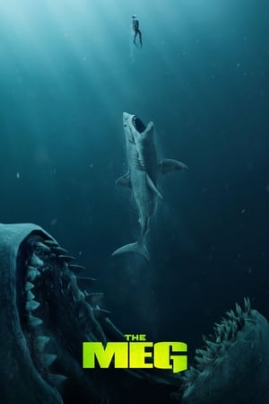 The Meg (2018) Hindi (Org) Dual Audio 480p BluRay 350MB - Movierulz