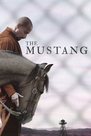 The Mustang (2019) Hindi Dual Audio 480p BluRay 300MB - Movierulz