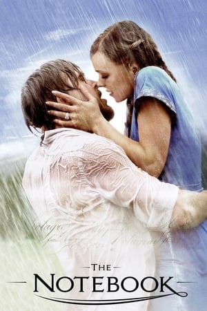 The Notebook 2004 Dual Audio Hindi BRRip Hevc [200MB] - Movierulz