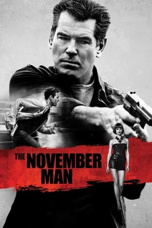 The November Man 2014 Dual Audio [Hindi – English] BluRay 480p – 720p – 1080p - Movierulz