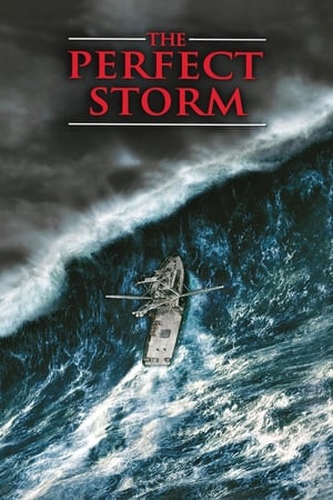 The Perfect Storm (2000) Hindi Dual Audio 480p HDRip 450MB - Movierulz