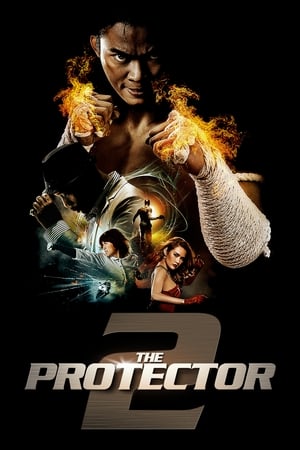 The Protector 2 (2013) 100mb Hindi Dual Audio movie Hevc BRRip Download - Movierulz