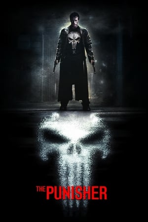 The Punisher 2004 Hindi Dual Audio 480p BluRay 380MB - Movierulz