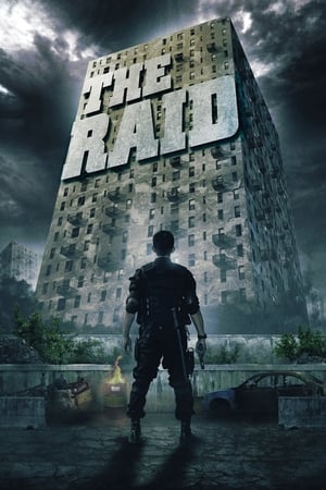 The Raid: Redemption (2011) Hindi Dual Audio 480p BluRay 300MB ESubs - Movierulz