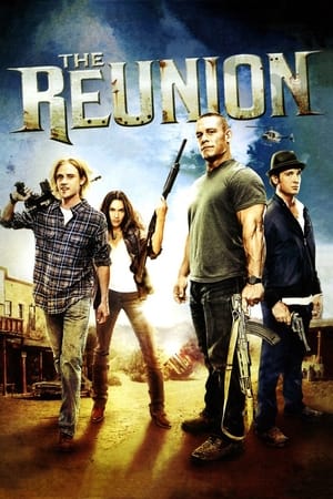 The Reunion (2011) Hindi Dual Audio 480p HDRip 300MB - Movierulz