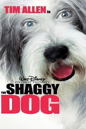 The Shaggy Dog (2006) Hindi Dual Audio 480p BluRay 300MB - Movierulz