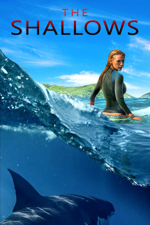 The Shallows 2016 Dual Audio (Hindi) 720p [1GB] - Movierulz