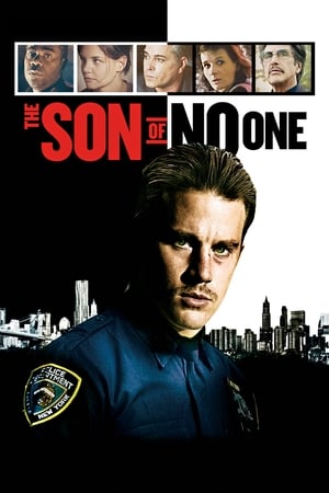 The Son of No One (2011) Hindi Dual Audio 480p BluRay 300MB - Movierulz