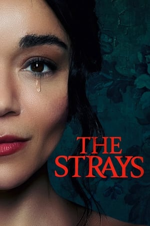 The Strays 2023 Hindi Dual Audio HDRip 720p – 480p - Movierulz