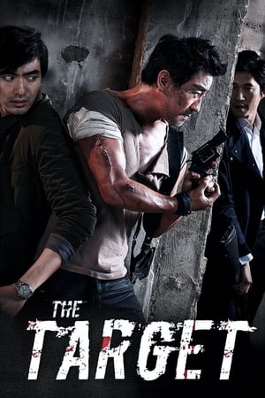 The Target (2014) Hindi Dual Audio 480p Bluray 300MB - Movierulz