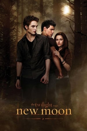 The Twilight Saga New Moon (2009) Hindi Dual Audio Bluray 720p [1.0GB] Download - Movierulz