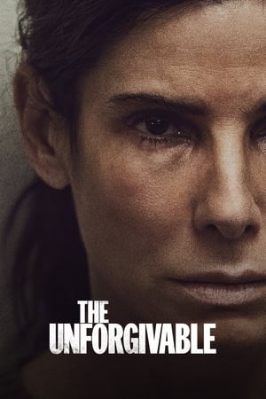 The Unforgivable (2021) Hindi Dual Audio 480p HDRip 380MB - Movierulz