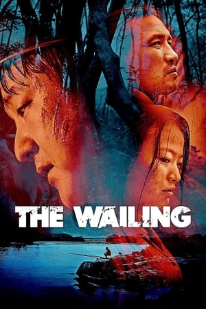 The Wailing 2016 Hindi Dual Audio 480p Web-DL 450MB - Movierulz