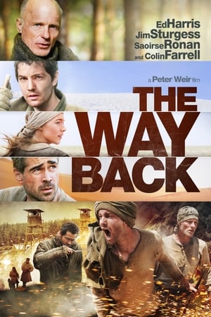 The Way Back (2010) Hindi Dual Audio 480p BluRay 400MB - Movierulz