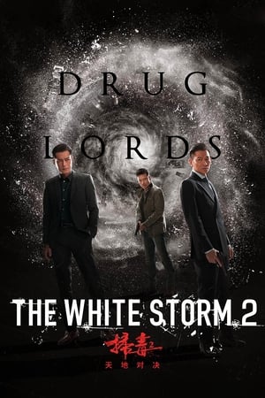 The White Storm 2: Drug Lords (2019) Hindi (Org) 480p HDRip 300MB - Movierulz