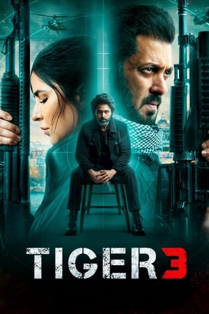 Tiger 3 2023 Hindi (ORG) Web-DL 720p – 480p - Movierulz