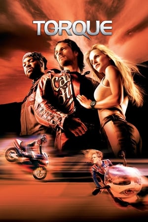 Torque 2004 300MB Hindi Dual Audio BRRip Download - Movierulz