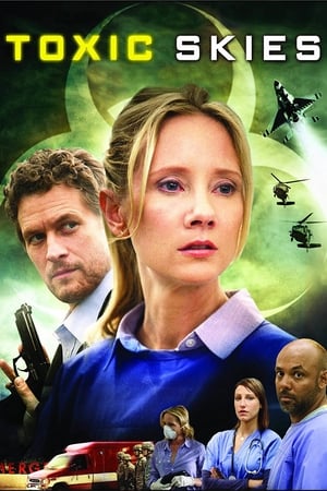 Toxic Skies 2008 Hindi Dual Audio 480p BluRay 300MB - Movierulz