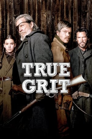 True Grit (2010) Hindi Dual Audio 480p BluRay 350MB - Movierulz