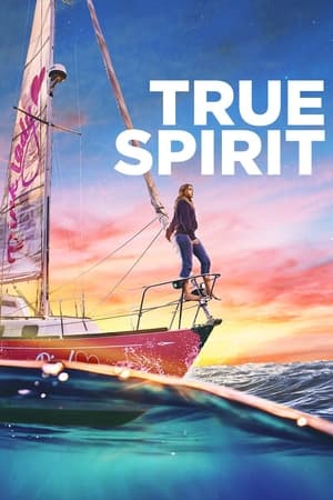 True Spirit (2023) Hindi Dual Audio HDRip 720p – 480p - Movierulz