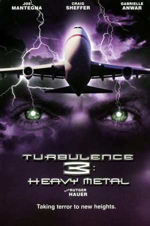 Turbulence 3 Heavy Metal 2001 Hindi Dual Audio 480p Web-DL 300MB - Movierulz