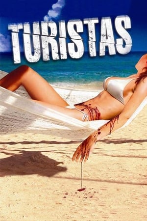 Turistas (2006) Dual Audio Hindi 480p BluRay [ESubs] 300MB - Movierulz