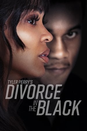 Tyler Perry’s Divorce in the Black (2024) Hindi Dual Audio HDRip 1080p – 720p – 480p - Movierulz