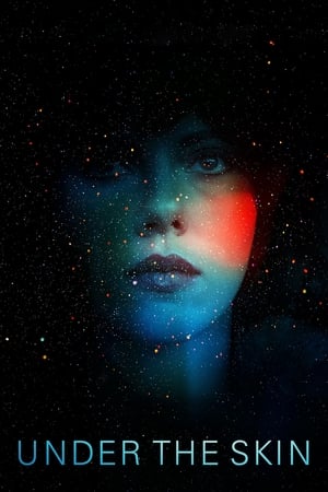 Under the Skin 2013 Hindi Dual Audio 480p BluRay 350MB - Movierulz