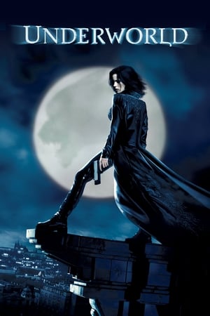 Underworld (2003) 100mb Hindi Dual Audio movie Hevc BRRip Download - Movierulz