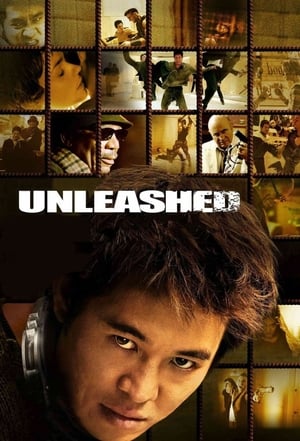 Unleashed (2005) Hindi Dual Audio 480p BluRay 360MB - Movierulz