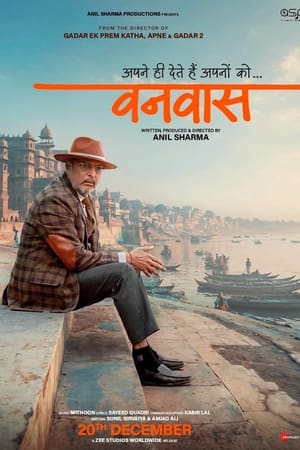 Vanvaas (2024) Hindi (DD5.1) WEB-DL 1080p - 720p - 480p - Movierulz