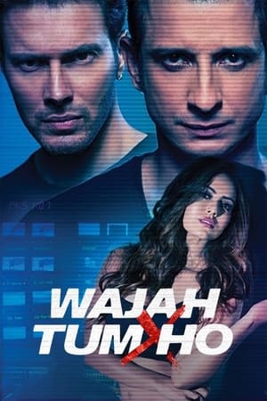 Wajah Tum Ho 2016 [PDVDRip] 700MB DDR - Movierulz