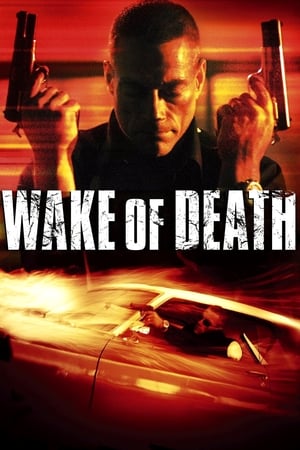 Wake of Death 2004 Hindi Dual Audio 480p BluRay 300MB - Movierulz