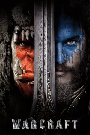 Warcraft: The Beginning (2016) Hindi Dual Audio 480p BluRay 350MB ESubs - Movierulz