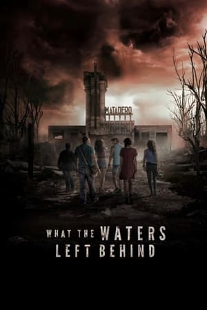 What the Waters Left Behind 2017 Hindi Dual Audio HDRip 720p – 480p - Movierulz