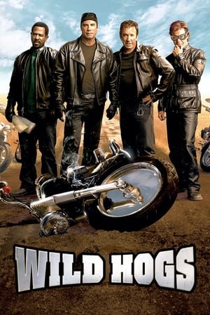 Wild Hogs (2007) Hindi Dual Audio 480p BluRay 340MB - Movierulz