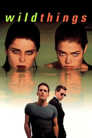 Wild Things (1998) 100mb Hindi Dual Audio Hevc BRRip Download - Movierulz