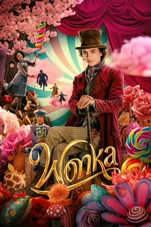 Wonka 2023 Hindi (HQ-Dub) Dual Audio HDTS 720p – 480p - Movierulz