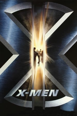 X-Men (2000) Hindi Dual Audio 480p BluRay 300MB - Movierulz