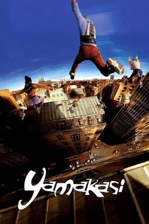 Yamakasi 2001 Hindi Dual Audio 480p BluRay 300MB - Movierulz