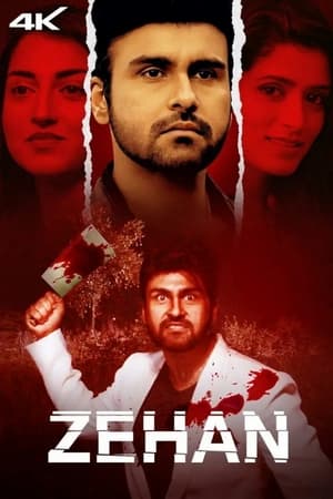 Zehan 2024 Hindi HDRip 720p – 480p - Movierulz