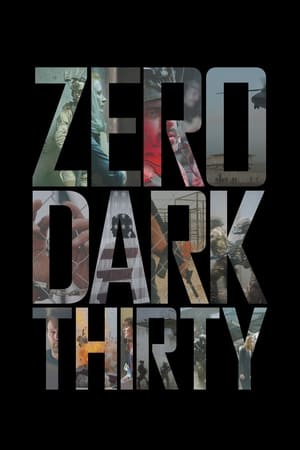 Zero Dark Thirty 2012 Hindi Dual Audio 480p BluRay 450MB - Movierulz